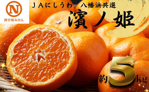 JAにしうわの季節の柑橘(八幡浜共選「濱ノ姫」約5kg)<E08-41>【1443319】