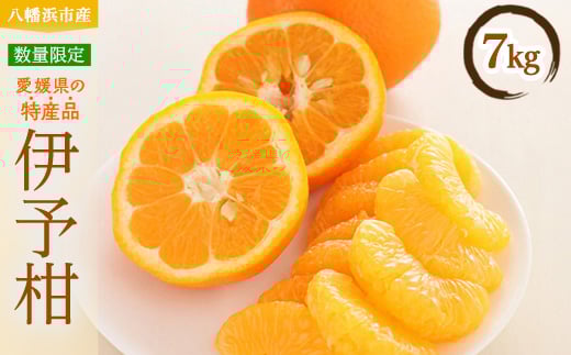 八幡浜産・伊予柑7kg[数量限定!]＜C56-9＞_ みかん ミカン 柑橘 いよかん 伊予柑 フルーツ くだもの 果物 青果 ふるーつ 甘い ジューシー 数量限定 旬 期間限定 産地直送 産直 【1138964】