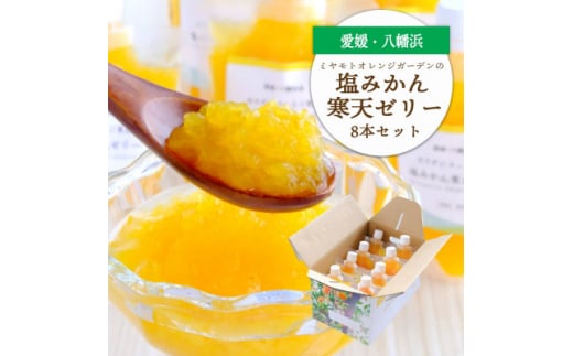 まるごと塩漬けにしたみかんを使用 塩みかん寒天ゼリー8本セット＜C25-62＞【1231056】