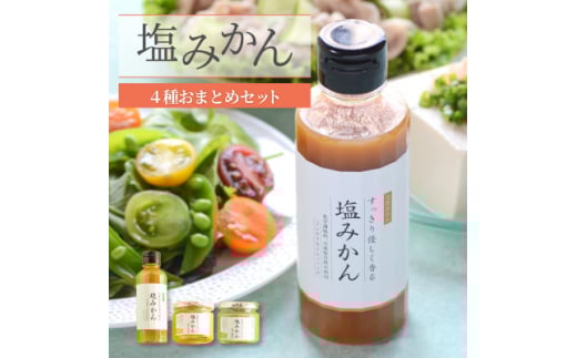 みかんがふわっと香るワンランク上のお料理に!愛媛の新しい調味料 塩みかん4種セット<C25-65>_ 調味料 塩みかん みかん 塩 しお ドレッシング サラダ カルパッチョ 魚料理 肉料理 味付け 愛媛 4種 セット 送料無料 【1228227】