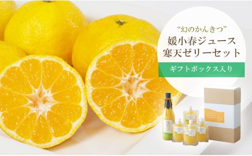 愛媛でしか栽培できない希少柑橘 媛小春(ひめこはる)のジュースと寒天ゼリーセット＜D25-84＞_柑橘 フルーツ 果物 くだもの 媛小春 希少 ジュース ゼリー セット 寒天 人気 おすすめ 送料無料 愛媛県 八幡浜市【1309625】