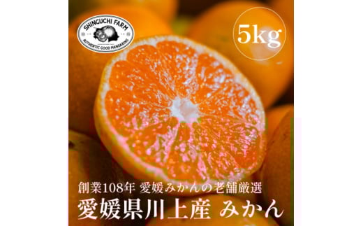 愛媛みかんの老舗厳選<愛媛県川上産 みかん5kg>新口農園<C70-1>【1440738】