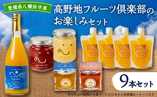 高野地フルーツ倶楽部のお楽しみセット<F46-6>【1491262】