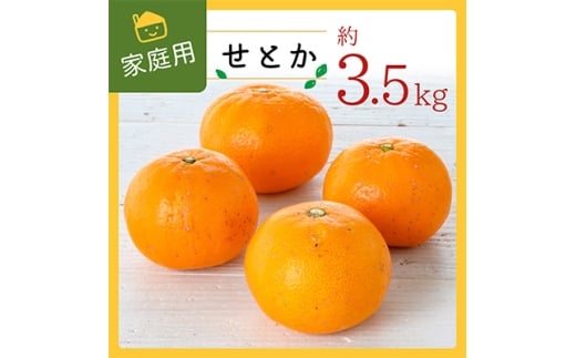 コウ果樹園の家庭用<せとか>3.5kg<C33-31>_ 訳あり 訳アリ みかん ミカン 愛媛県 フルーツ 果物 くだもの 柑橘 かんきつ 人気 産地直送 産直 ジューシー 甘い 果汁 糖度 規格外 濃厚 家庭用 セトカ 【1441231】
