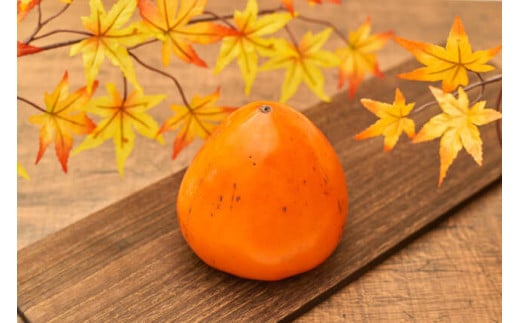 目利きのプロが選ぶ　訳あり富士柿10kg＜E56-38＞_ 訳あり わけあり ワケアリ 柿 かき 富士柿 フルーツ くだもの 果物 青果 ふるーつ 甘い 常温 産直 旬 愛媛 季節限定 傷 規格外 不揃い 希少 家庭用 秋の味覚 【1452169】