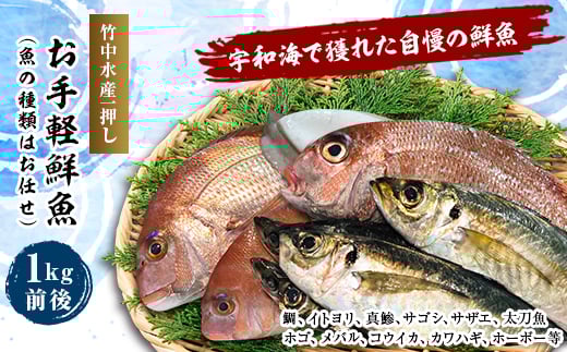 竹中水産の一押し「お手軽鮮魚」1キロ前後<C22-235>【1073396】