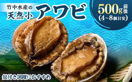 竹中水産の天然小アワビ、殻付きのままでバター焼き500g前後(4~8個目安)<D22-246>_ 鮑 あわび アワビ 活きあわび 魚介 魚介類 海鮮 天然 活き 鮮魚 小ぶり 食べやすい バター焼き 冷蔵  BBQ 殻付 【1073903】