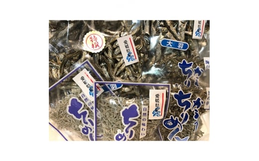 イリ子の詰め合わせ5種約1キロセット!<D22-251>【1073908】