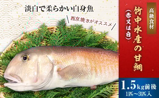 竹中水産の「甘鯛(赤又は白)1.5キロ前後」<H22-261>_ 鯛 タイ たい 甘鯛 鮮魚 天然 魚介 魚介類 海鮮 冷蔵 活き 愛媛 八幡浜 産直 産地直送 国産 高級魚 グルメ 【1075513】
