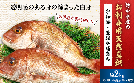 竹中水産の「お刺身用天然真鯛」約2キロセット!(大、中、小混:1~3枚)<D22-263>【1075515】