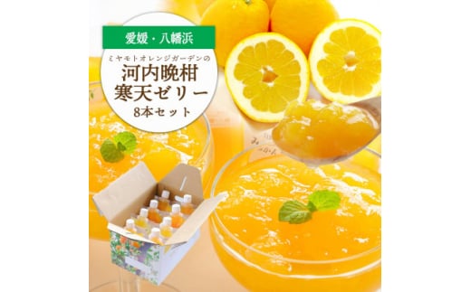苦味の少ないさっぱり柑橘 和製グレープフルーツ 河内晩柑寒天ゼリー8本セット<D25-24>【1255531】