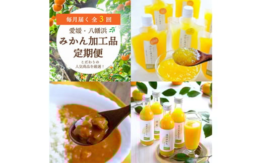 <毎月定期便>おいしい愛媛みかんを使用!こだわりのみかん加工品定期便全3回<G25-153>_ 定期便 ミカン ジュース みかん ゼリー カレー フルーツ 果物 柑橘 くだもの 産地直送 産直 愛媛 食べ比べ 国産 詰合せ 【4012887】