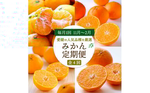 <発送月固定定期便>愛媛の人気品種!かんきつ定期便 11月~2月全4回<H25-154>【4012888】