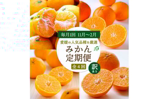 <発送月固定定期便>愛媛の人気品種!かんきつ定期便 11月~2月(訳あり)全4回<H25-155>【4012889】