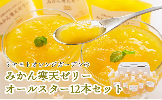 人気品種食べ比べ!みかん寒天ゼリーオールスター12本セット ミヤモトオレンジガーデン<D25-20>_ ゼリー 寒天 デザート スイーツ セット みかん ミカン 柑橘 フルーツ ふるーつ 果物 くだもの 愛媛 食べ比べ 産直 産地直送 飲むゼリー 国産 【1503231】