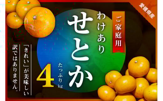 三代目のわけありせとか4kg<サイズ不揃い・傷><C31-34>_ 訳アリ わけあり ワケアリミカン みかん せとか フルーツ 果物 くだもの 家庭用 人気 柑橘 かんきつ 不揃い 規格外 傷 愛媛 旬 産地直送 産直 季節限定 【1488065】