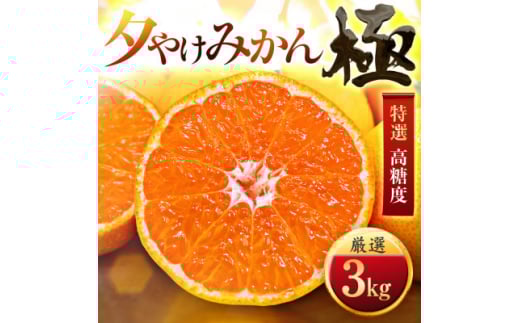 <甘みが濃縮されたみかん>愛媛で育った夕やけみかん<極>3kg(小玉)<C49-26>【1508878】