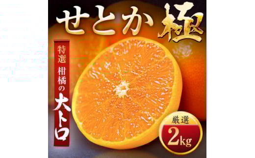 「夕やけブランド」柑橘の大トロ!<せとか>2kg<C49-66>_ みかん ミカン 柑橘 せとか フルーツ くだもの 果物 ふるーつ 青果 果実 人気 甘い ジューシー 産直 産地直送 旬 柑橘類 人気 愛媛 果汁 八幡浜市【1509769】