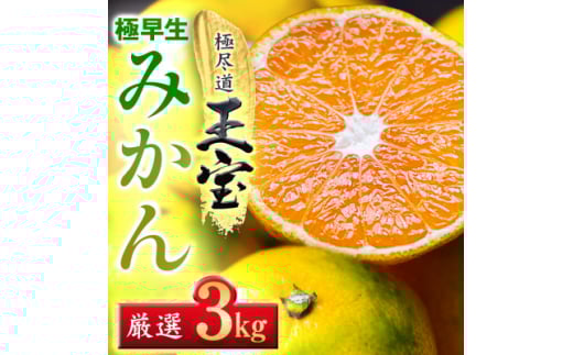 <愛媛名産>極早生みかん 3kg<C64-18>【1510670】