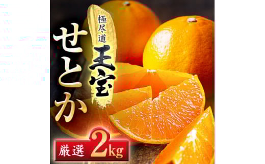 「玉宝ブランド」<せとか>2kg<C64-46>_ みかん せとか 蜜柑 ミカン 愛媛 柑橘 かんきつ 愛媛みかん 果物 くだもの フルーツ 果実 青果 デザート おいしい 2kg 1箱 産直 産地直送 愛媛県 国産 送料無料 【1511267】