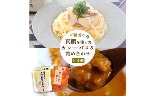 柑橘香る 真鯛を使ったカレーとパスタソースセット<C25-158>_ カレー パスタソース セット 詰合せ 柑橘 くだもの 産地直送 産直 愛媛 食べ比べ 国産 グルメ 夕飯 ディナー お取り寄せ 【1503562】