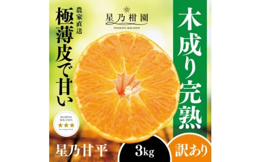 <訳あり>星乃みかん園の甘平(3kg)<C45-88>【1535971】