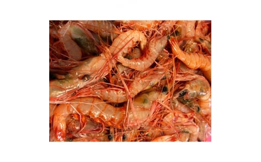 竹中水産の地海老(八幡浜産)2キロ!<F22-267>【1083422】