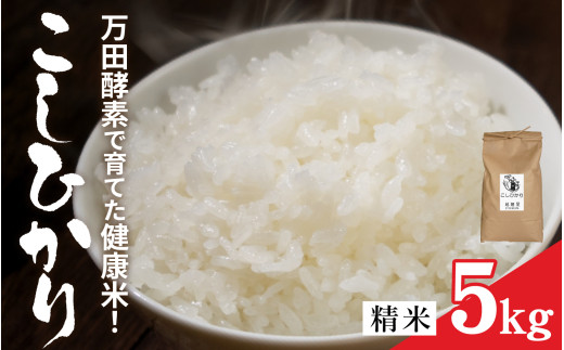 令和7年産 万田酵素で育てた健康米 福井市産こしひかり5kg [A-150002] / 新米 精米 米 お米 コメ 送料無料 コシヒカリ 酵素 植物発酵食品 長期発酵 熟成
