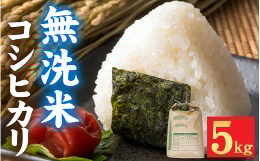【先行予約】新米 令和7年産 福井市産 コシヒカリ 5kg 無洗米 / 天然の山水で育てたお米【みやま米】「2025年10月下旬以降順次発送予定】 [A-168004] / 5キロ 5kg 米 こめ コメ お米 こしひかり 福井県 福井市 令和7年 7年産 七年