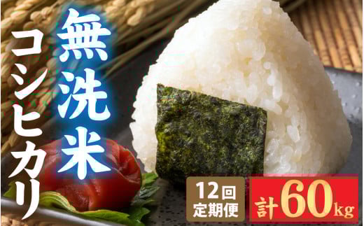 【先行予約】《定期便12ヶ月連続お届け》新米 令和7年産 福井市産 コシヒカリ 5kg 無洗米 / 天然の山水で育てたお米【みやま米】「2025年10月下旬以降順次発送予定】 [O-168007] / 5キロ 5kg 米 こめ コメ お米 こしひかり 福井県 福井市 令和7年 7年産 七年 12回 12か月 12ヵ月 12カ月 定期 定期便