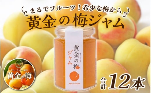 まるでフルーツ！希少な梅から「黄金の梅ジャム」12本 [D-178001] / 加工品 調味料 ジャム 季節ジャム パン ジャムティー ヨーグルト 料理 手造り 詰合せ お取り寄せ 送料無料