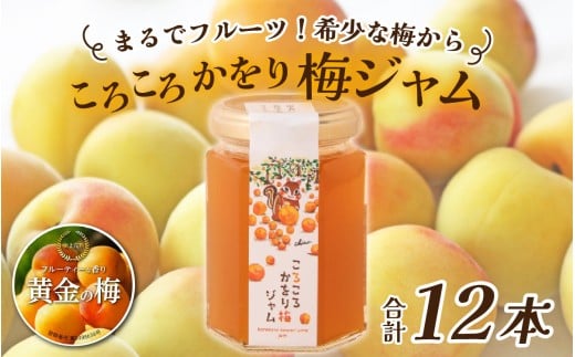 まるでフルーツ！希少な梅から「ころころかをり梅ジャム」12本 [D-178004] / 梅 うめ 加工品 調味料 ジャム 季節ジャム パン ジャムティー ヨーグルト 料理 手造り 詰合せ お取り寄せ 送料無料
