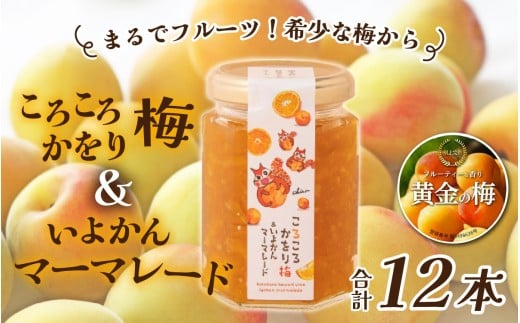 まるでフルーツ！希少な梅から「ころころかをり梅＆いよかんマーマレード」12本 [D-178005] / 梅 うめ いよかん マーマレード 加工品 調味料 ジャム 季節ジャム パン ジャムティー ヨーグルト 料理 手造り 詰合せ お取り寄せ 送料無料
