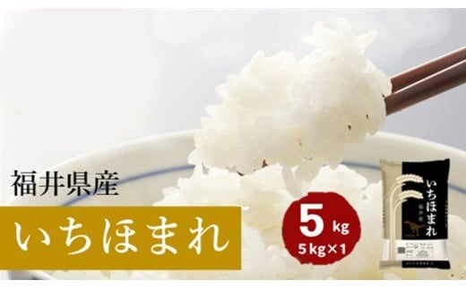 福井県産いちほまれ 米 5kg [B-187002] / 食品 ご飯 お米 白米 いちほまれ ブランド米 米 コメ こめ 精米 白米 5キロ 令和7年 令和七年 7年 七年 新米