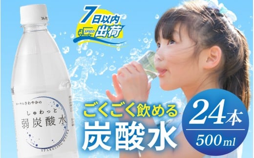 しゅわっと弱炭酸水 [A-030026] / 炭酸 炭酸水 水 微炭酸 24本 1ケース 500ml ペットボトル 飲料水 みず 北陸 飲料 無糖 軟水 ダイエット 福井県 福井市 ウォーター ローヤルさわやか