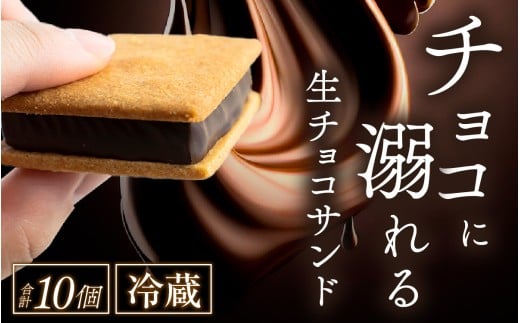 【山奥チョコレート 日和】 生チョコサンド 10個入 [A-026001] / 老舗 焼菓子 焼き菓子 洋菓子 デザート スイーツ クッキー カカオ 詰合せ 詰め合わせ チョコ チョコレート お菓子 菓子 クッキーサンド チョコ菓子 バレンタイン ホワイトデー