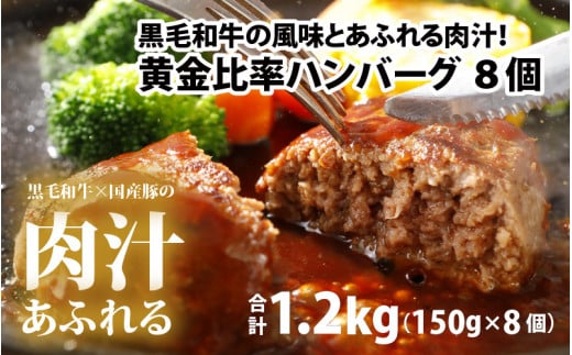 黒毛和牛入りハンバーグ 約150g×8個 [A-015007]  【ハンバーグ 和牛 牛肉 調理レシピ付き 肉のカワグチ 冷凍】