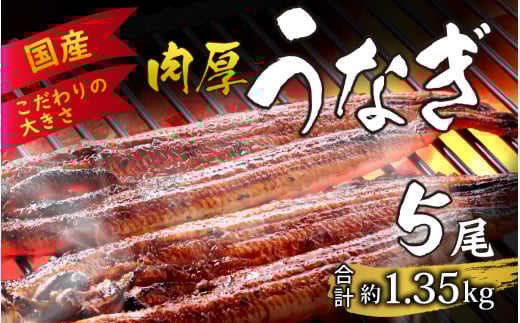 国産 活うなぎ蒲焼 約1.35kg (約270g×5尾) 【愛知県産 国産 無着色 鰻 ウナギ うなぎ】 [F-124006]