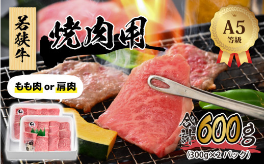 若狭牛 (A5ランク) 焼肉 合計600g（300g×2パック）【牛肉 BBQ バーベキュー アウトドア A5ランク 焼肉 お取り寄せ 黒毛和種 もも肉 肩肉 冷凍 2パック 小分け】[B-022010]