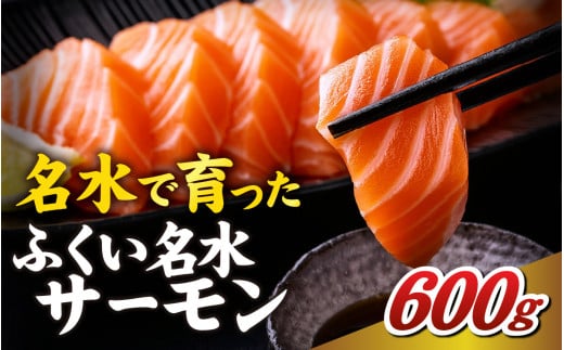 ふくい名水サーモン（小分けパック）約600ｇ [A-065058] / サーモン 鮭 さけ しゃけ 小分け パック 個包装 福井 名水 冷凍 刺身 にじます ニジマス 虹鱒 ブランド 川魚 魚 さしみ 切り身 切身 フィレ 国産
