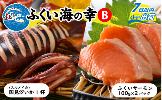 ふくい海の幸2点セットB 【ふくいサーモン するめ スルメ いか イカ 汐いか 冷凍】 [A-004011]