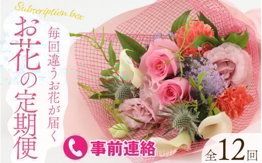 お花で季節を楽しもう!毎回違うお花が届く「お花の定期便」 [M-159003] / 花 アレンジメント ブーケ 花束 ギフト お誕生日 植物 季節 生花 おまかせ アレンジ プレゼント 贈答 贈り物 祝い インテリア