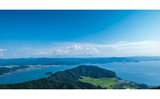 市政全般・市長におまかせ