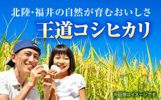 令和7年産新米予約】 最高級魚沼産コシヒカリ「雪椿」2kg | 新米