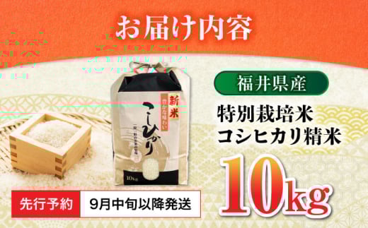 先行予約 /9月中旬以降発送】 【令和7年産】 福井県産 特別栽培