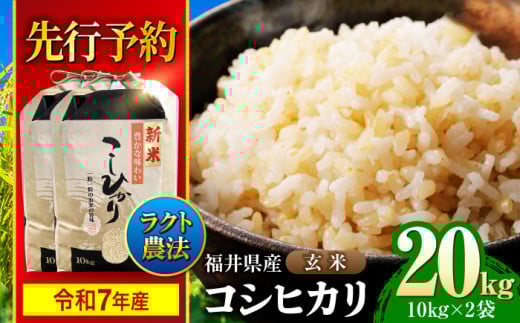 【新米】【令和7年産】 福井県産 ラクト農法 コシヒカリ 玄米 10kg×2 （20kg） / 小浜市 / 北川博司 [BFDG007]