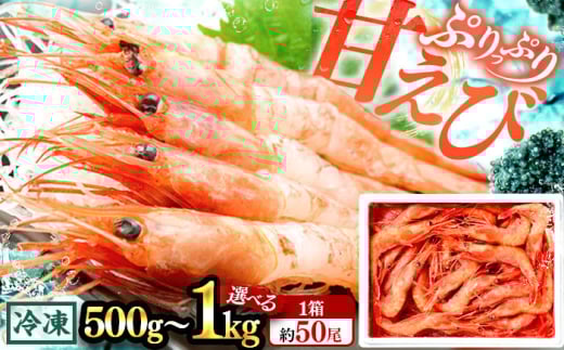 【年内配送】日本海 甘えび 500g (約50尾)×1箱 / 冷凍 あまえび アマエビ 甘エビ 福井県 小浜市 / 小浜海産物  【配送不可地域：北海道・沖縄・離島】 [BFAA082]
