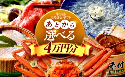 【あとから選べる】 福井県小浜市ふるさとギフト 4万円分 海産物 箸 お米 スイーツ あとから ギフト [BFDV012]