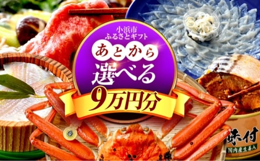 【あとから選べる】 福井県小浜市ふるさとギフト 9万円分 海産物 箸 お米 スイーツ あとから ギフト [BFDV017]
