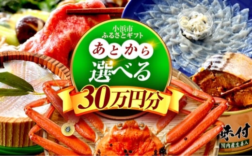 【あとから選べる】 福井県小浜市ふるさとギフト 30万円分 海産物 箸 お米 スイーツ あとから ギフト [BFDV020]
